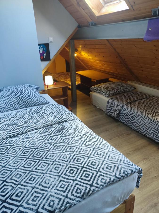 Apartment Mieszkanie / Centrum Blisko Szlakow I Wyciagow !!! *